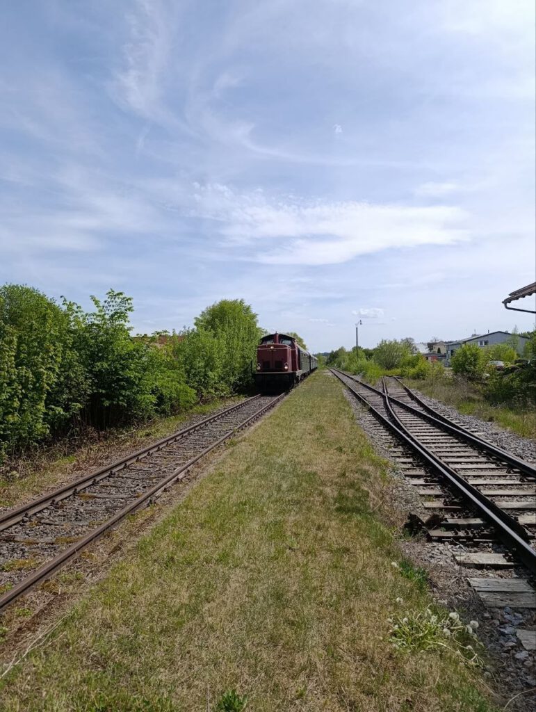 photo 2026 05 06 08 21 30 2 1